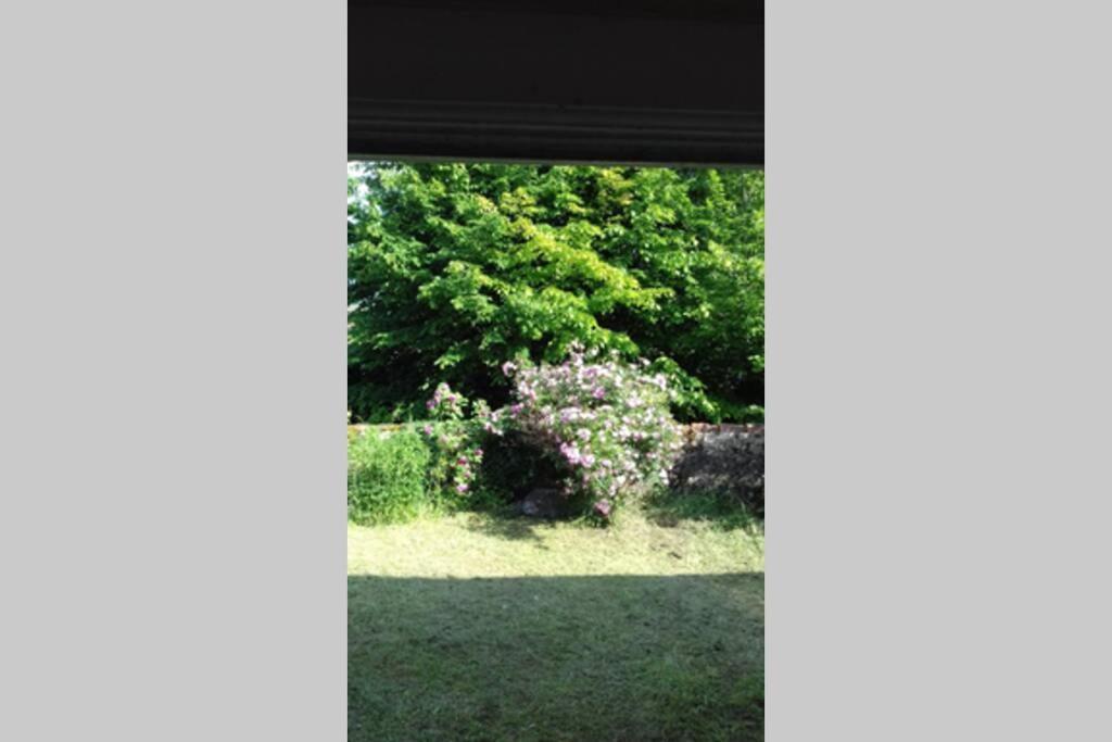 Вилла Jardin De Cure Клюни Экстерьер фото